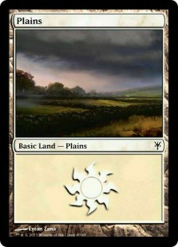 Plains duel decks - (40), sorin